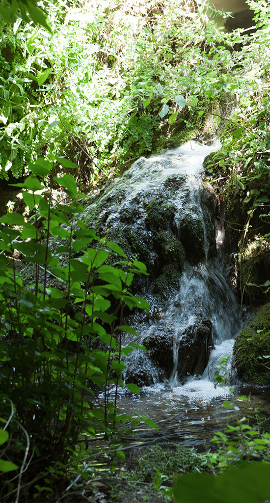 naxos hiking tours