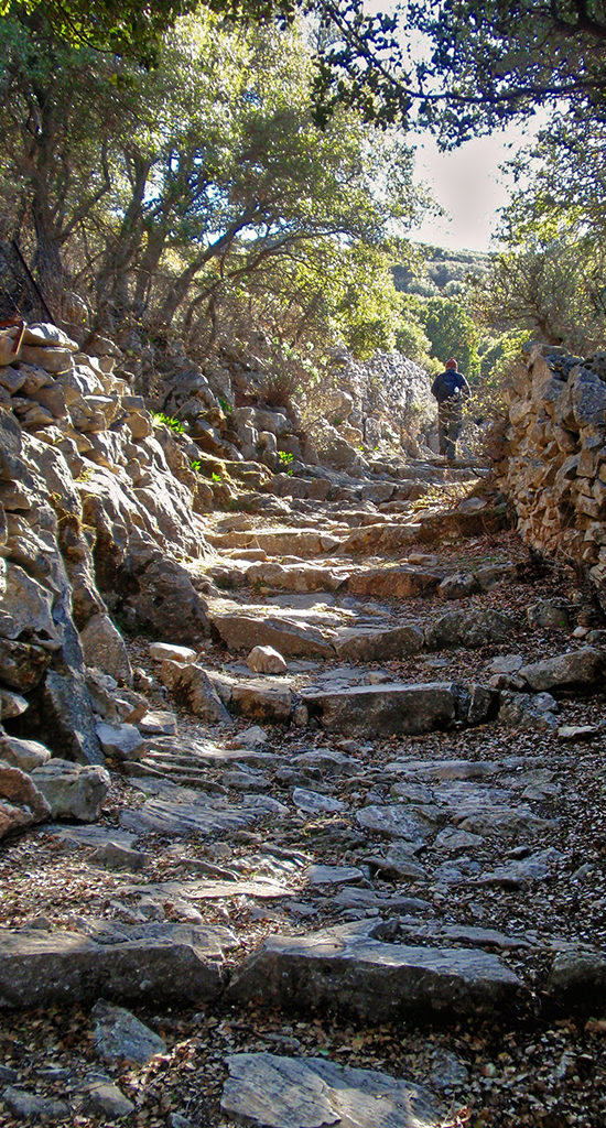 naxos hiking tours