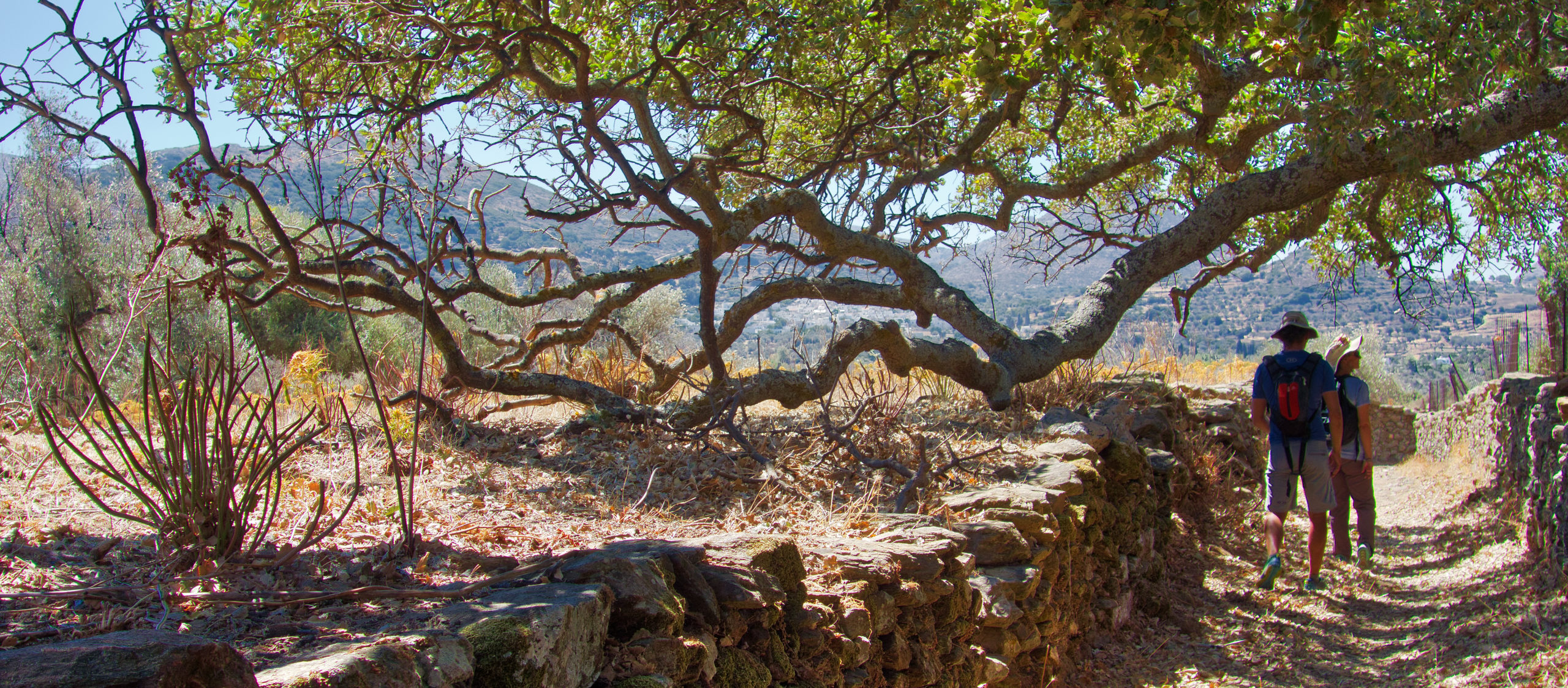 naxos hiking tours